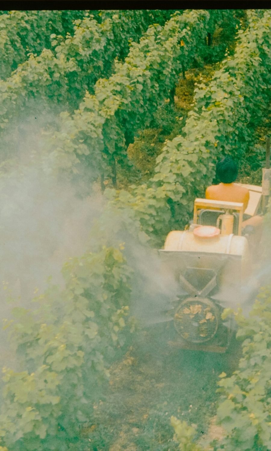 annie-spratt-E-zxxavpZlw-unsplash