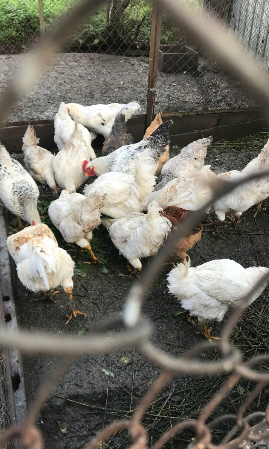 anzhela-bets-ThQMcEz1WJ8-unsplash