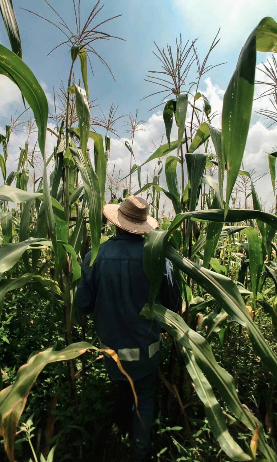 erik-oHSmhHK-BB0-unsplash