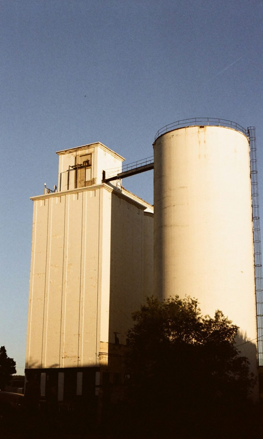 matthew-hacker-lKvJlTKZpnU-unsplash