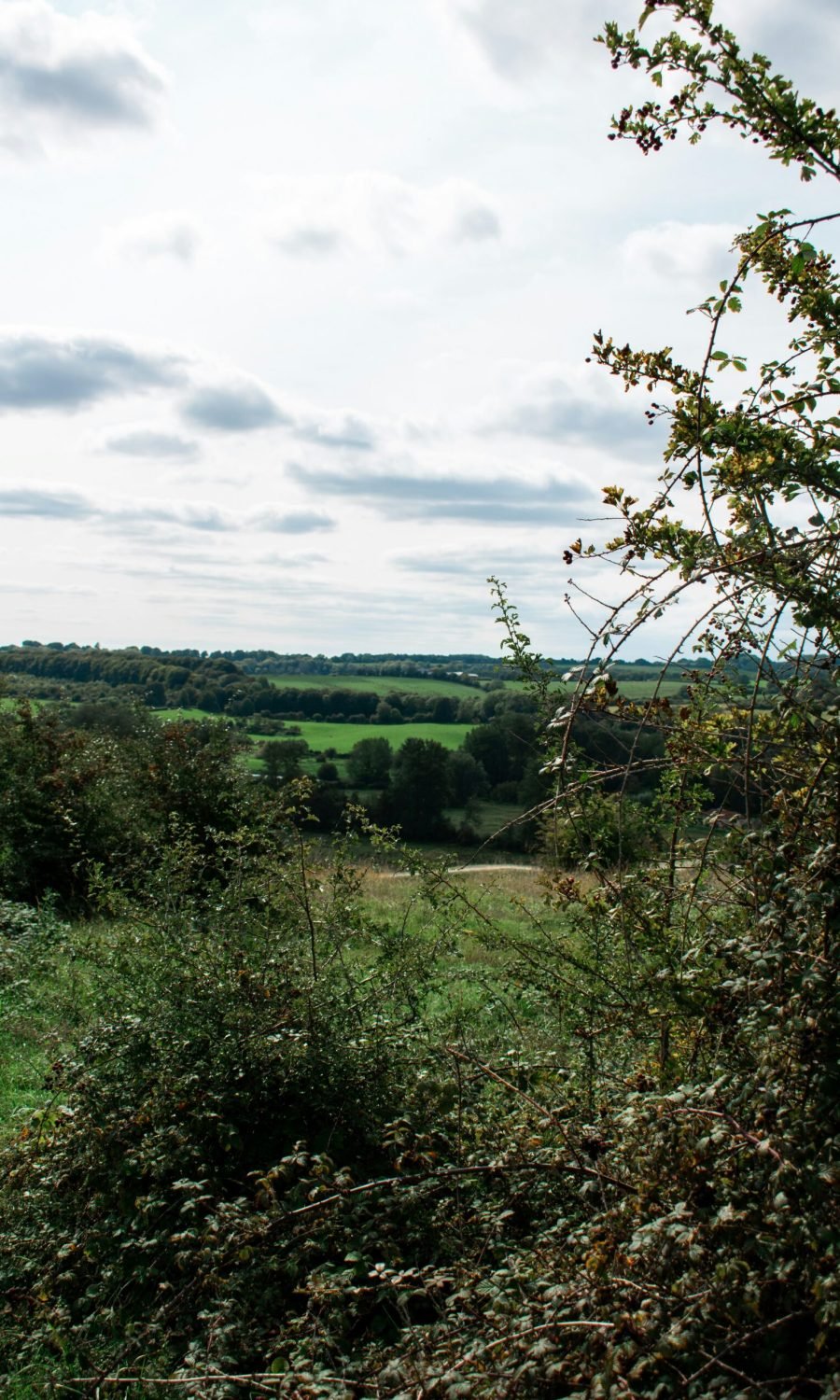 rob-coates-h-r5G1xVUuc-unsplash