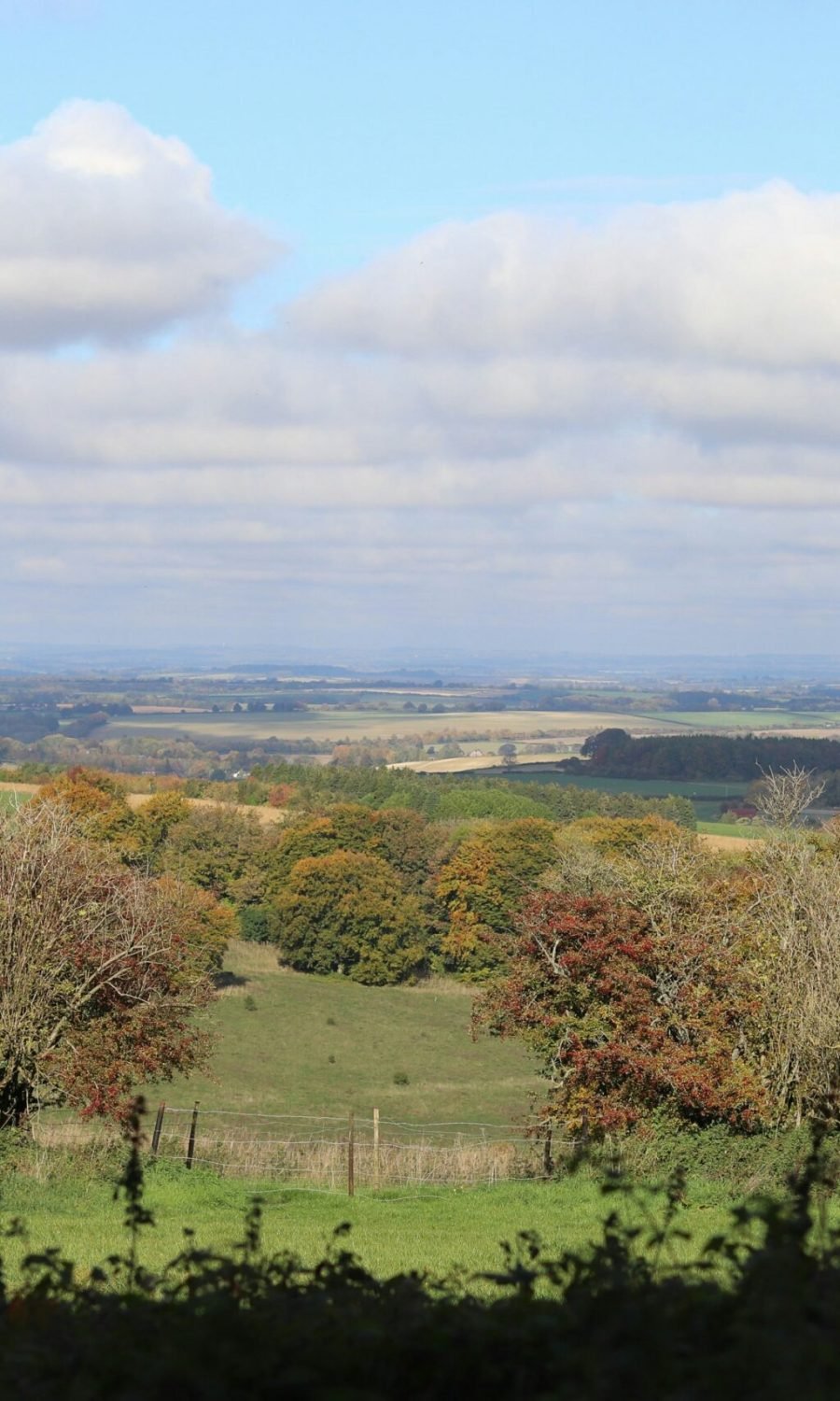 tanya-barrow-ZDtlW2hKJu8-unsplash