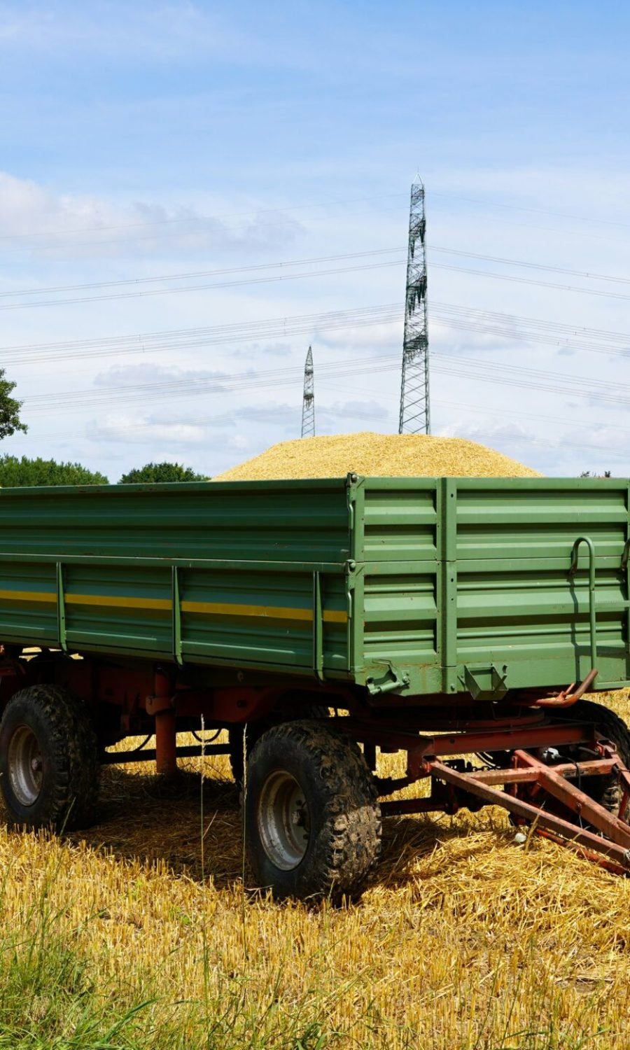 wolfgang-weiser-Skmr6txRWiU-unsplash